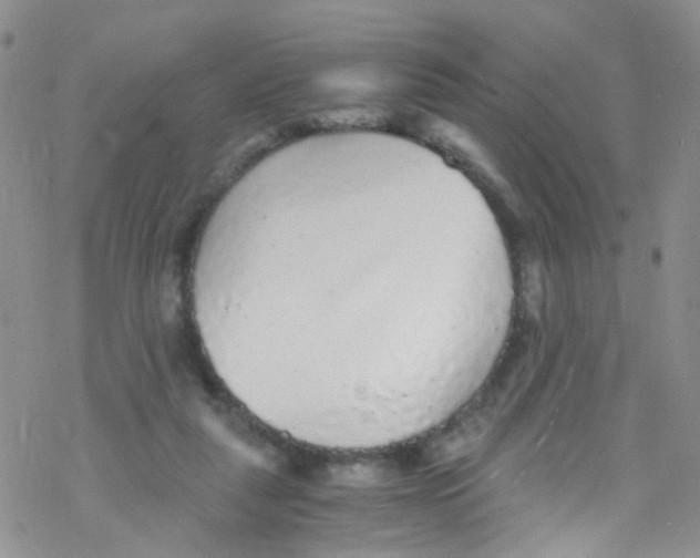 X0000076350259200610272127