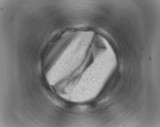 X0000076350260200610272127