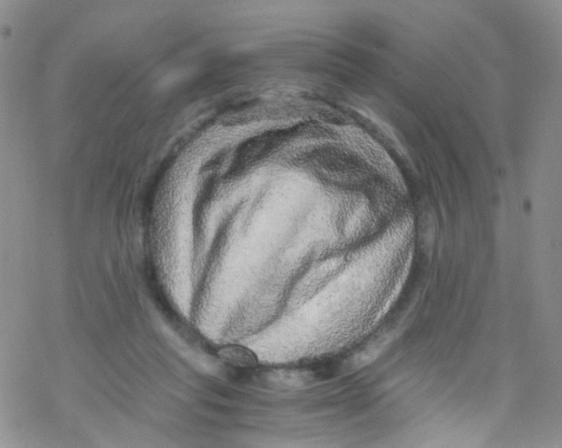 X0000076350261200610272127