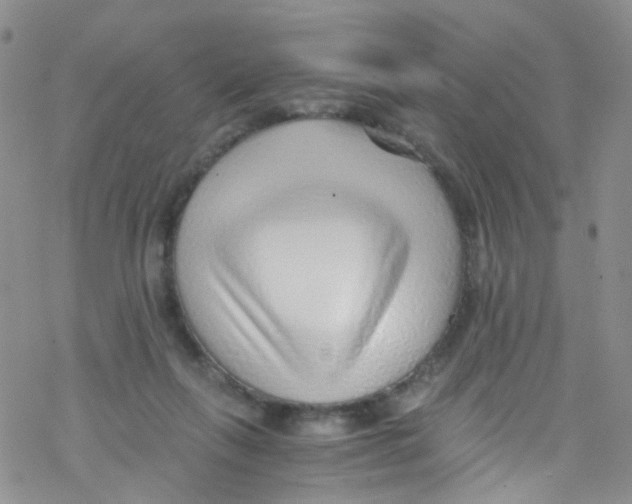 X0000076350263200610272127