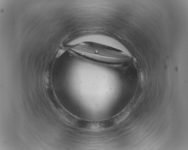 X0000076350264200610272127