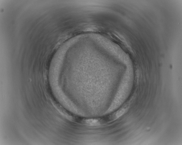 X0000076350265200610272127