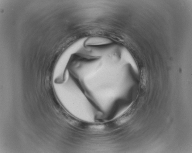 X0000076350266200610272127