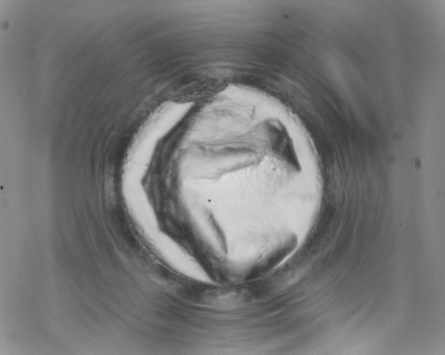 X0000076350267200610272127