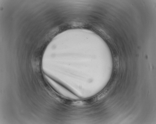 X0000076350269200610272127