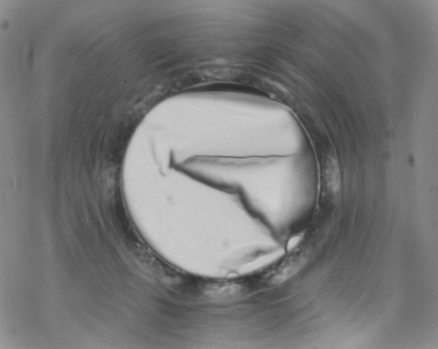 X0000076350271200610272127