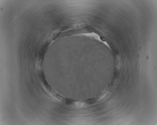 X0000076350272200610272127