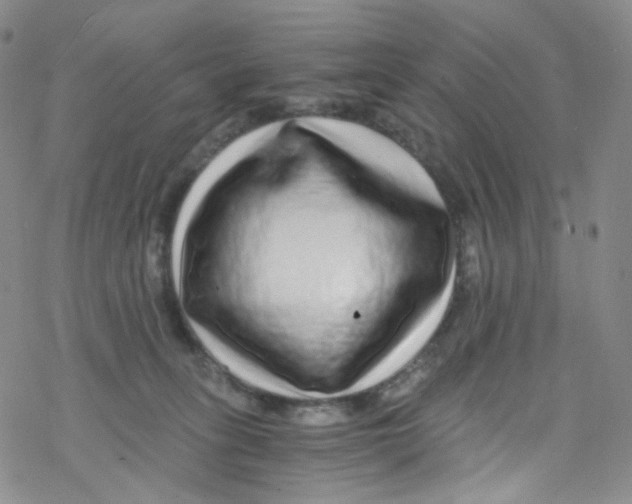 X0000076350275200610272127