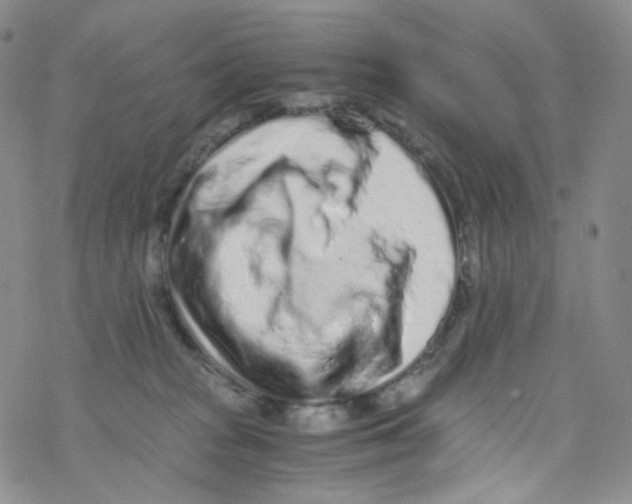 X0000076350277200610272127