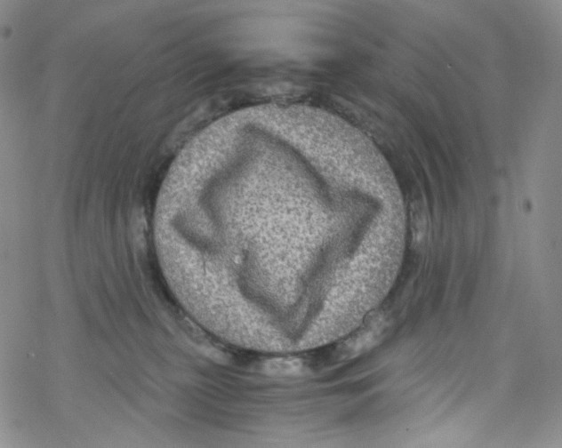 X0000076350279200610272127