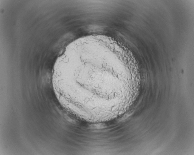 X0000076350281200610272127