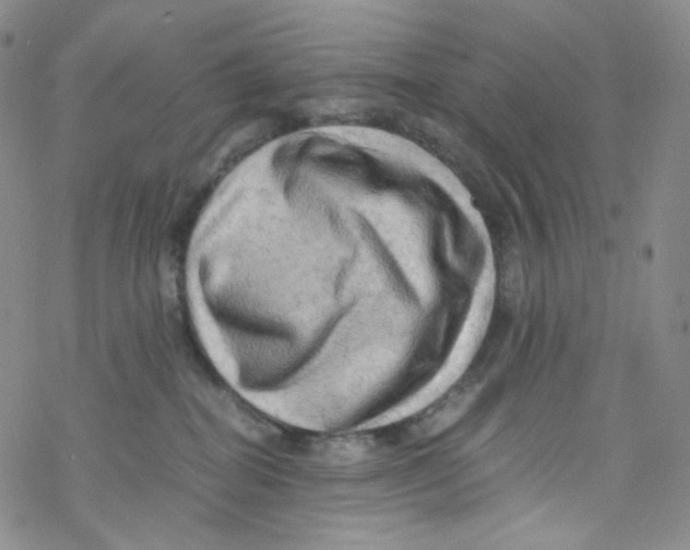 X0000076350282200610272127