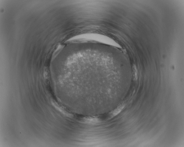 X0000076350284200610272127