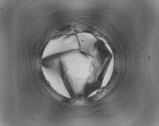 X0000076350285200610272127