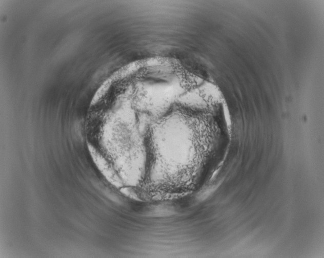 X0000076350286200610272127