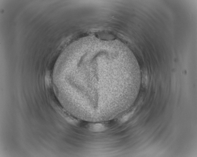 X0000076350287200610272128