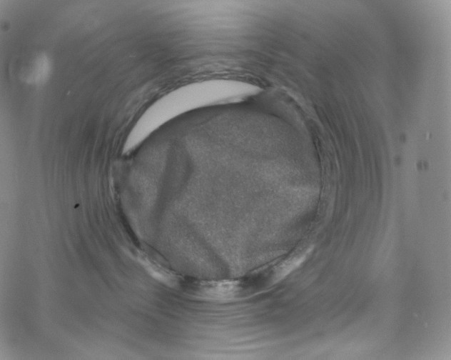 X0000076350288200610272128