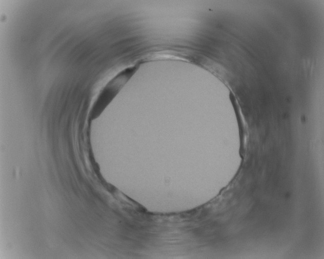 X0000076350289200610272127