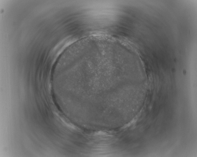 X0000076350290200610272127