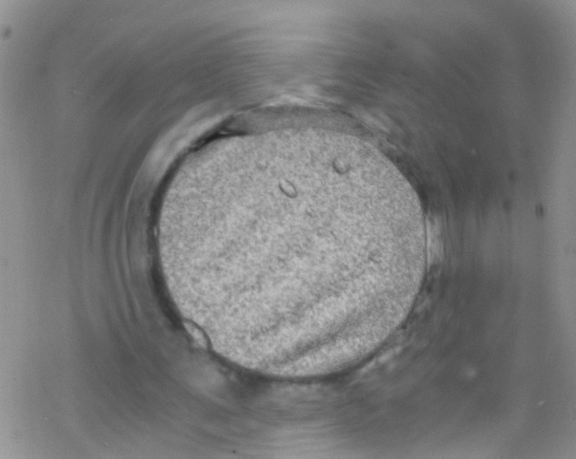 X0000076350291200610272127