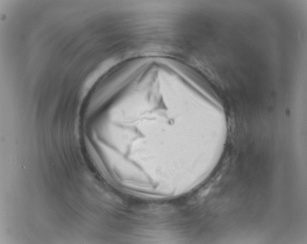 X0000076350292200610272127