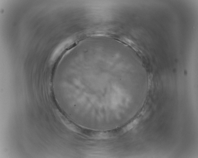 X0000076350293200610272127