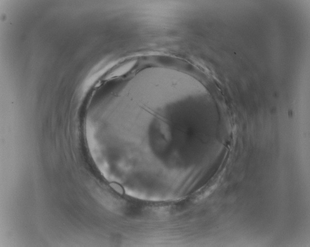 X0000076350295200610272127