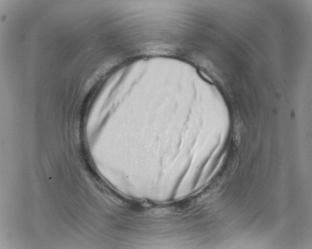 X0000076350299200610272127