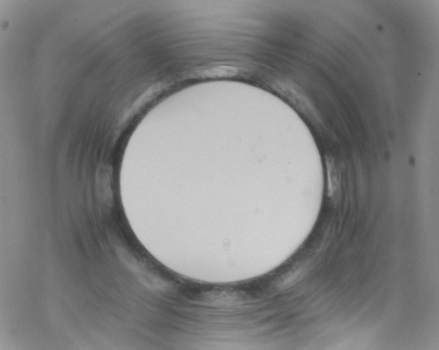 X0000076350300200610272127