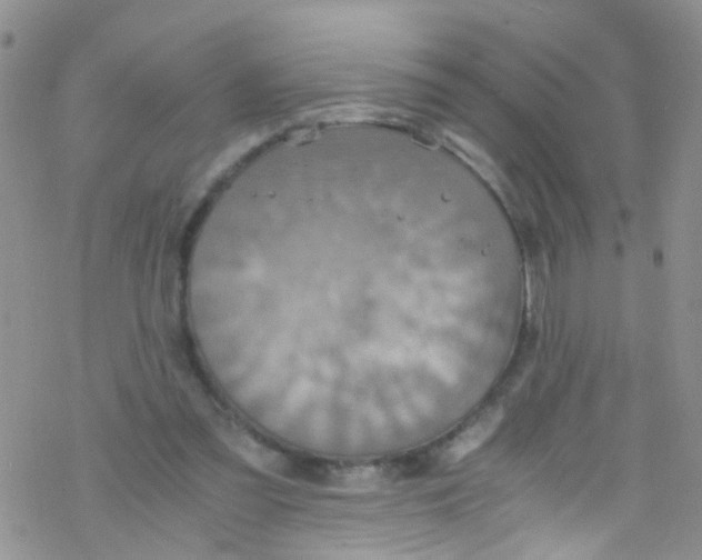 X0000076350301200610272127