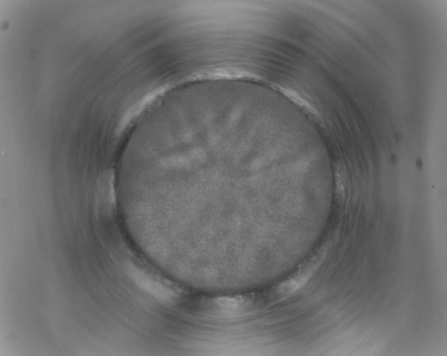 X0000076350302200610272127