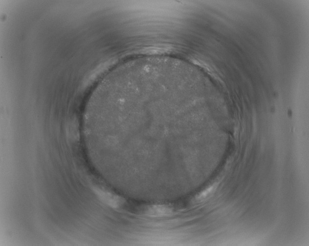 X0000076350303200610272127