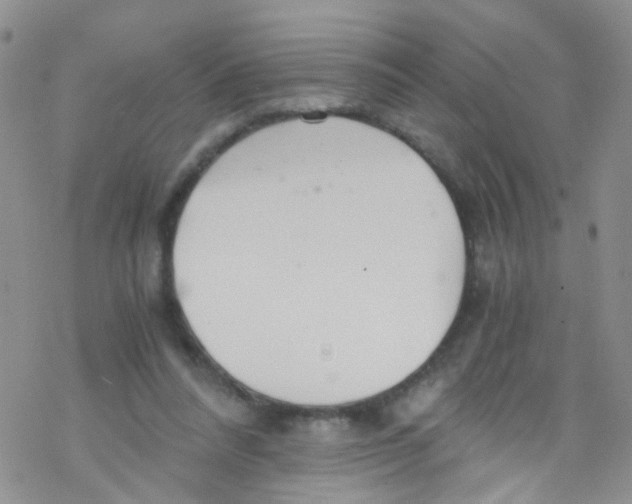 X0000076350304200610272127