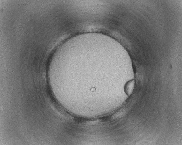 X0000076350306200610272126