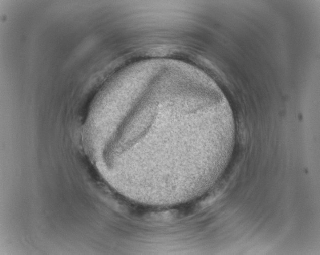 X0000076350307200610272126