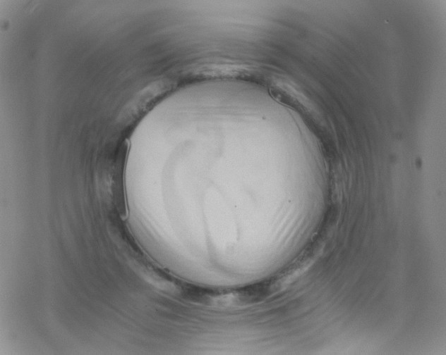 X0000076350309200610272126