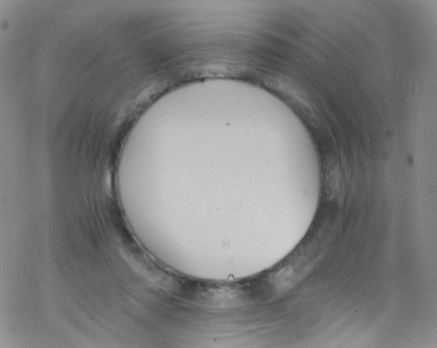 X0000076350310200610272126