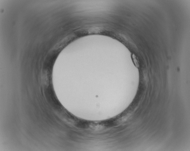 X0000076350311200610272126