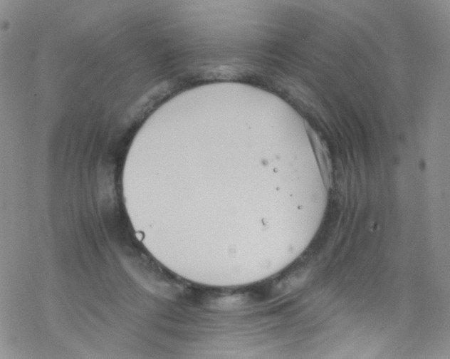 X0000076350312200610272126