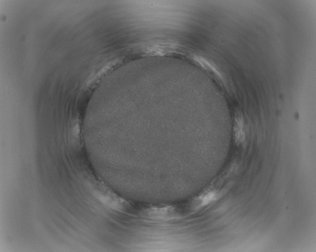 X0000076350314200610272126