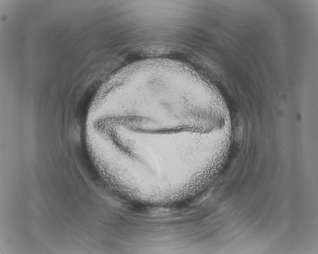 X0000076350315200610272126