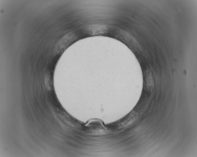 X0000076350316200610272126