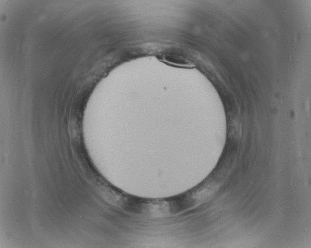 X0000076350317200610272126