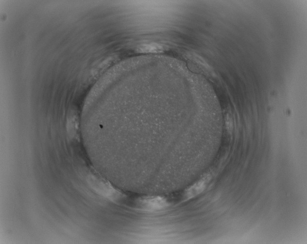 X0000076350322200610272126