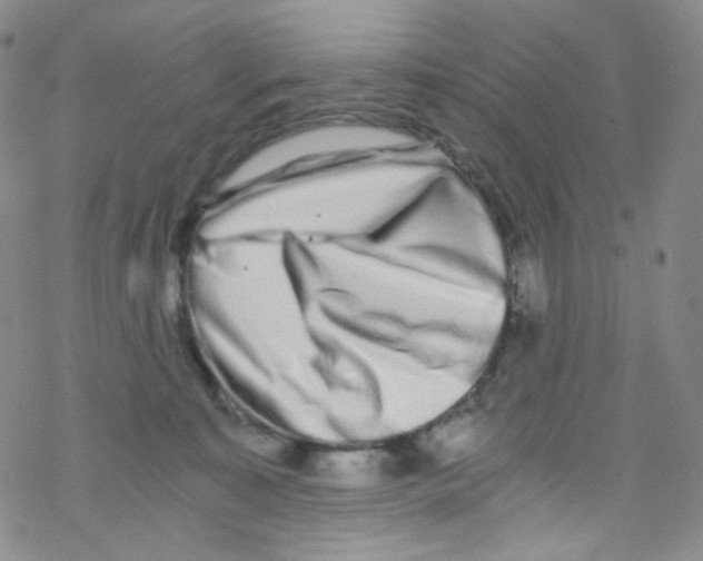 X0000076350323200610272126