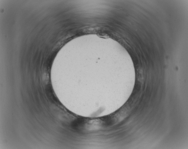 X0000076350324200610272126