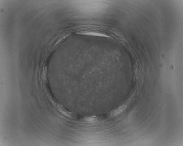 X0000076350325200610272126