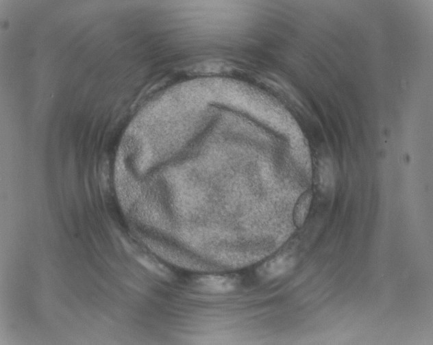 X0000076350326200610272126