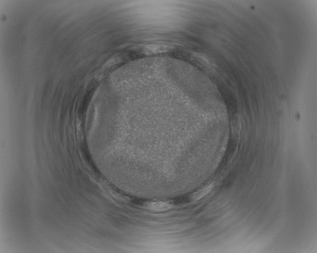 X0000076350327200610272126