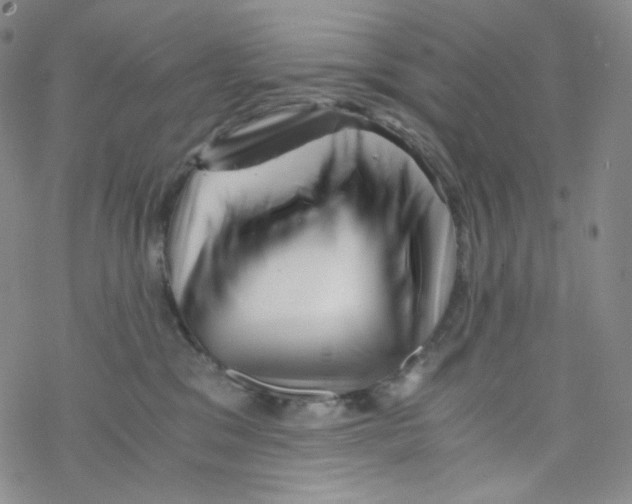 X0000076350329200610272126